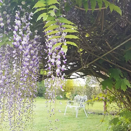 La Tourelle - Et Bed & Breakfast